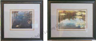Two originals framed to match
